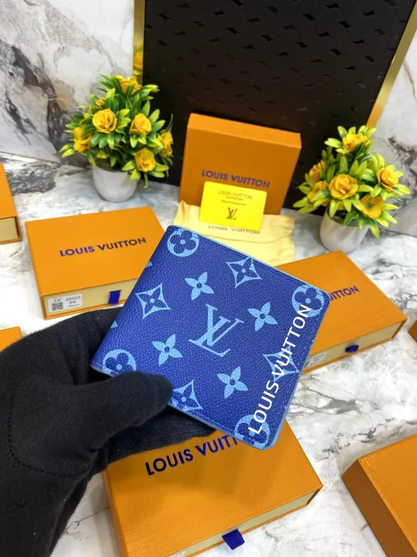 Louis vuitton Men's Wallet