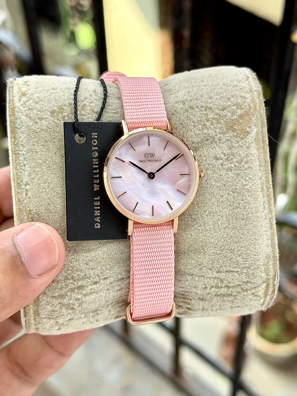 Daniel Wellington Petite Coral Rose Gold