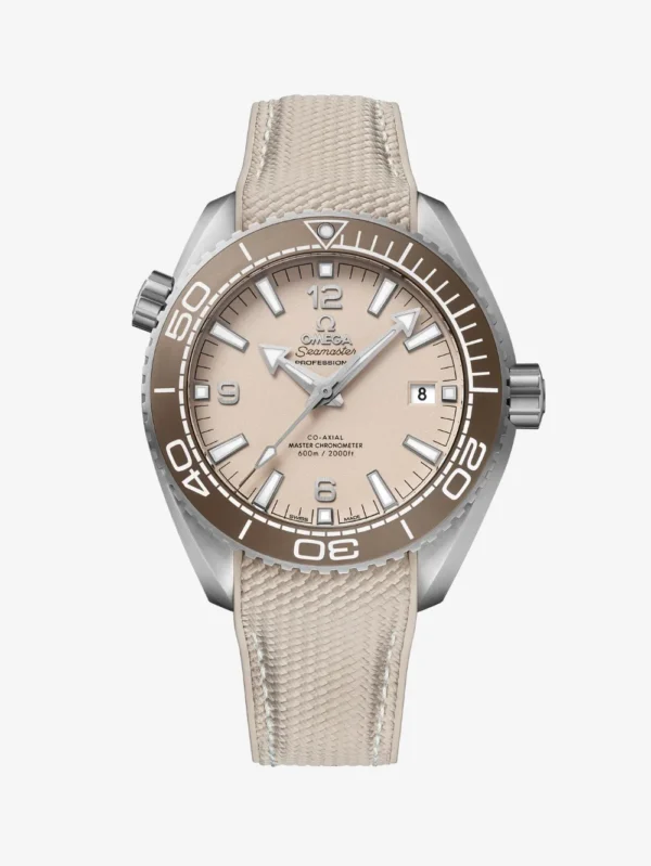Omega Seamaster Planet Ocean 600M 43.50 mm Men's Watch